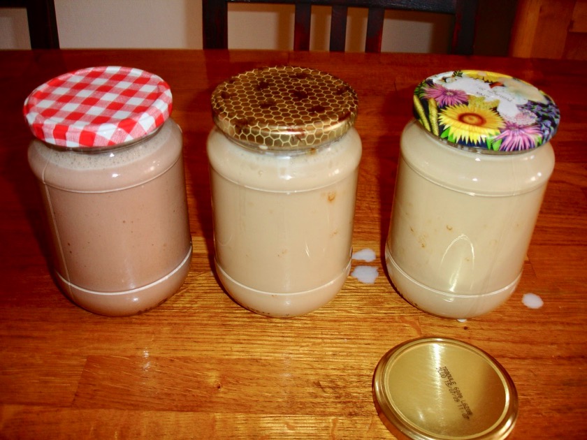 yogourt_6.jpg yogourt_6